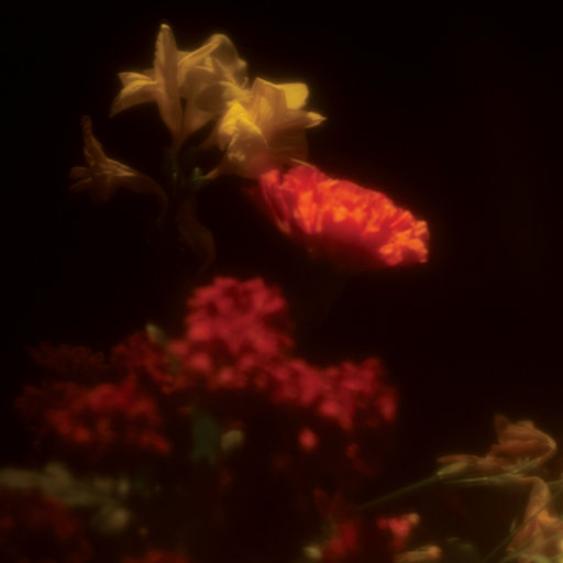 吃雪白的扔子小说
